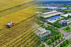 58ha đất trồng lúa tại 'cửa ngõ' TP. HCM bất ngờ được 'khoác áo mới'