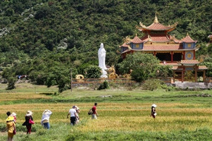 Việt Nam có ngôi cổ tự gần 300 năm tuổi trên đảo Cù Lao Chàm nổi tiếng với '4 không'