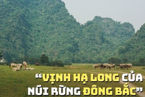 Tôi đi 'chữa lành' ở khu bảo tồn thiên nhiên được mệnh danh là 'Vịnh Hạ Long của núi rừng Đông Bắc', chốn bình yên chỉ cách Hà Nội hơn 2 tiếng đi xe