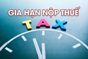 Đề nghị gia hạn thời hạn nộp thuế năm 2024