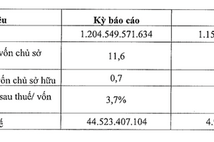 Nợ phải trả năm 2023 của Kita Invest tăng vọt lên gần 14.000 tỷ đồng