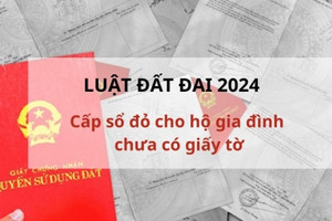 Từ năm 2025, hộ gia đình không có giấy tờ sử dụng đất có được cấp sổ đỏ?