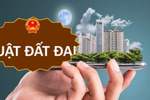 Chính phủ thông qua Đề nghị sớm đưa Luật Đất đai 2024 vào thực tiễn