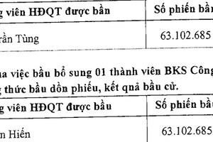 Tổng Giám đốc Taseco Land Nguyễn Trần Tùng được bầu làm Chủ tịch ICON4