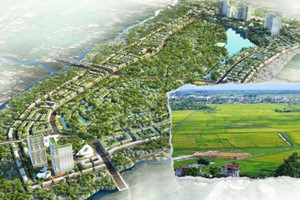 47,22ha đất trồng lúa vùng cửa ngõ Đông Nam Bộ bị 'xóa sổ', 'nhường chỗ' cho khu tái định cư