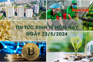 Tin tức kinh tế ngày 23/5/2024: xuất khẩu rau quả 5 tháng đầu năm cao kỷ lục