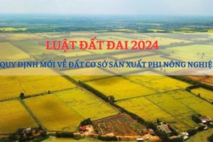 Luật Đất đai 2024 quy định mới về đất cơ sở sản xuất phi nông nghiệp như thế nào?