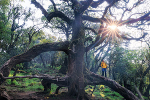 Cung đường trekking đẹp như cổ tích, cách Hà Nội chỉ 4 tiếng lái xe