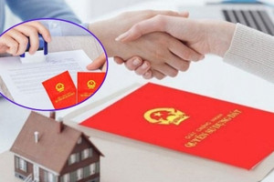 Thẩm quyền cấp sổ đỏ Hà Nội năm 2024 được quy định thế nào?