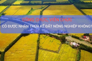 Đối tượng công chức, viên chức có được nhận thừa kế đất nông nghiệp không?