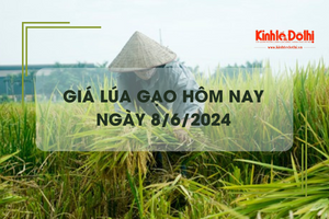 Giá lúa gạo hôm nay 8/6/2024: giá gạo biến động trái chiều