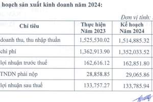 Xếp dỡ Tân Cảng lên kế hoạch đi ngang, chốt cổ tức 2023 tỷ lệ 23,26%