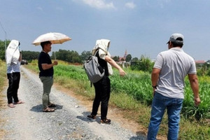 Chuyên gia tiết lộ rõ thời điểm 'xuống tiền' trước tình trạng 'cá mập' đi săn lùng đất nền 'rã đông'