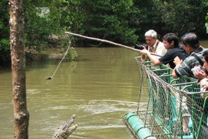 Chinh phục thử thách câu cá sấu giữa khu sinh thái bền vững của thế giới tại Việt Nam