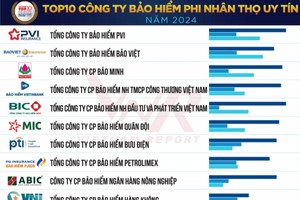 PVI bất ngờ bứt phá, lên No.1 trong top 10 công ty bảo hiểm phi nhân thọ uy tín năm 2024