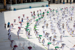 Hàng chục người tử vong, hàng nghìn người kiệt sức vì nắng nóng trong lễ hành hương Hajj