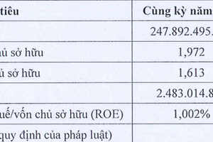 Đầu tư Phúc Hậu báo lỗ 5,6 tỷ đồng, nợ trái phiếu gần 400 tỷ đồng