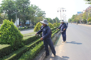 Từ vụ cây xanh Công Minh, Bộ Công an yêu cầu cung cấp hồ sơ 30 dự án