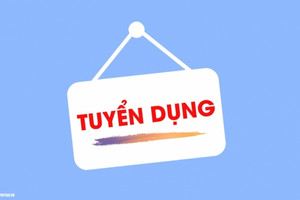 Một tổng cục đăng tuyển 515 công chức, điều kiện dự tuyển 'cực dễ'