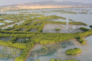 Vùng đầm nước mặn đa dạng sinh học sẽ trở thành trung tâm hành chính mới của tỉnh đông dân nhất Duyên hải miền Trung