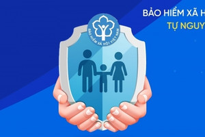 Tăng lương hưu và trợ cấp BHXH cao nhất từ trước tới nay: Hơn 3,3 triệu người được hưởng lợi