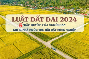 5 'đặc quyền' của người dân khi bị thu hồi đất nông nghiệp theo Luật Đất đai 2024