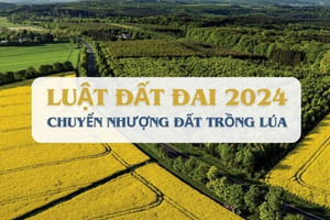 Người không sản xuất nông nghiệp vẫn có 'đặc quyền' này theo Luật Đất đai 2024