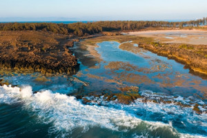 Việt Nam có ‘toạ độ’ ngắm san hô hóa thạch trên cạn chỉ cách Phan Rang - Tháp Chàm 17km