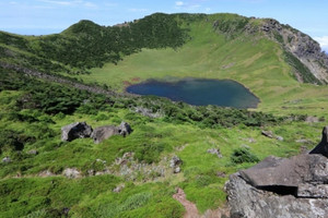 Món ăn quen thuộc của người châu Á đe dọa ngọn núi cao nhất Hàn Quốc trên đảo Jeju