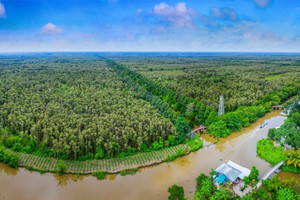 'Lột xác' từ 'vùng đất chết', khu bảo tồn đa dạng sinh học độc đáo là 'lá phổi xanh' của vùng đồng bằng lớn nhất Việt Nam