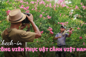 Không chỉ là nơi check-in hoa tường vi hot nhất Thủ đô, Công viên thực vật cảnh Việt Nam còn mang một 'sứ mệnh' thầm lặng ít người biết