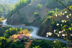 Thành phố có sân bay duy nhất vùng Tây Bắc trở thành điểm du lịch được tìm kiếm nhiều nhất Việt Nam