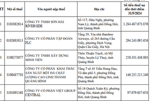 Sơn Hải Riverside nợ hơn 1.280 tỷ đồng tiền thuế và bị cưỡng chế của ai?