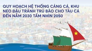 Infographics: Quy hoạch hệ thống cảng cá, khu neo đậu tránh trú bão cho tàu cá đến năm 2030 tầm nhìn 2050