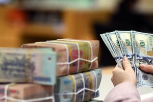 Giá USD tự do lao dốc, rời xa mốc 26.000 đồng