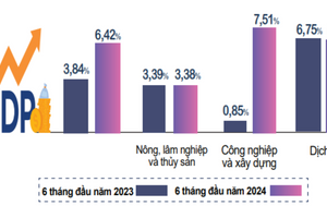 Những điểm sáng về kinh tế-xã hội trong 6 tháng đầu năm 2024