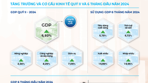 INFOGRAPHICS: Động lực chính của tăng trưởng 6 tháng đầu năm 2024