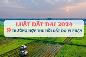 9 trường hợp sẽ thu hồi đất do vi phạm pháp luật về đất đai theo Luật Đất đai 2024
