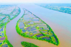'Ốc đảo xanh' giữa dòng Cổ Chiên, nói không với 'bê tông hóa' vẫn hút hồn du khách