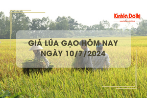 Giá lúa gạo hôm nay 10/7/2024: trong nước và gạo xuất khẩu giảm nhẹ