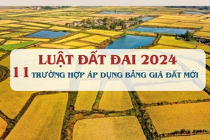 11 trường hợp sẽ áp dụng bảng giá đất mới nhất theo Luật Đất đai 2024