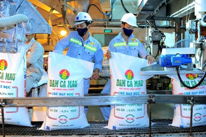 Đạm Cà Mau (DCM) hoàn thành 77% kế hoạch xuất khẩu năm 2024