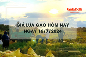 Giá lúa gạo hôm nay 16/7/2024: giá gạo ít biến động