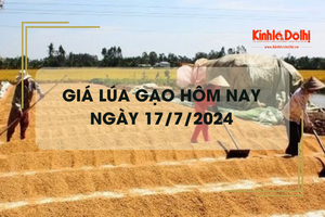 Giá lúa gạo hôm nay 17/7/2024: giá gạo xuất khẩu giảm