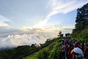 Săn biển mây, ngắm bình minh mát lạnh tại 'Đà Lạt thu nhỏ' ngay cạnh Hà Nội