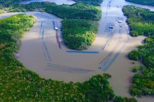 ‘Kho báu xanh’ đầu tiên của Việt Nam được thế giới công nhận nằm ngay tại TP. HCM, được quy hoạch thành ‘đô thị trong rừng’