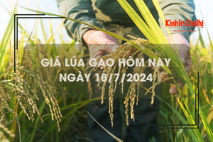 Giá lúa gạo hôm nay 18/7/2024: giá gạo tăng giảm trái chiều từ 100 - 150 đồng/kg