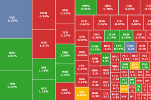 VN-Index mất mốc 1.265, cổ phiếu HVN, VIX, QCG nằm sàn