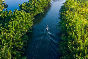 Một rừng dừa ở tỉnh ven biển miền Trung được công nhận là điểm du lịch