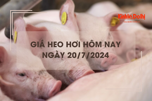 Giá heo hơi hôm nay 20/7/2024: biến động không đồng nhất 1.000 - 2.000 đồng/kg